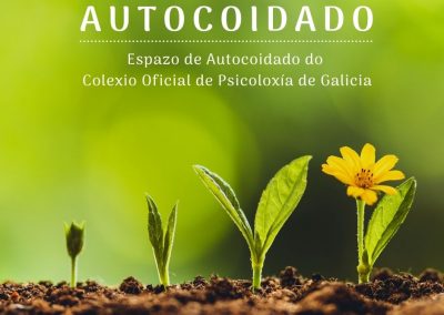Comisión de Cultura e Sociedade